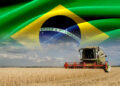 Brasil vem conquistando espaço nos mercados internacionais através da agropecuária