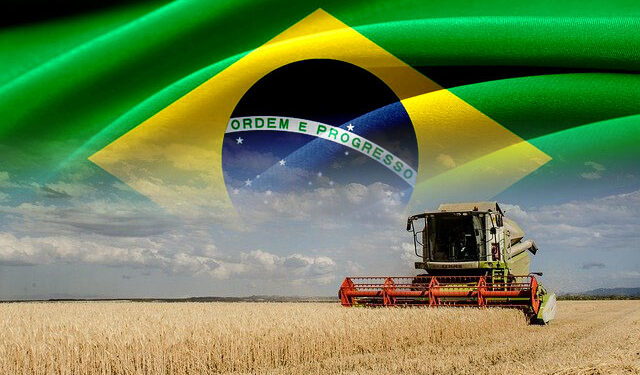 Brasil vem conquistando espaço nos mercados internacionais através da agropecuária