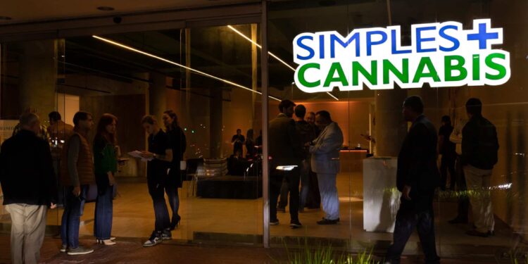 Simples Cannabis revoluciona experiência online de acesso à cannabis medicinal com lançamento de novo site