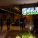 Simples Cannabis revoluciona experiência online de acesso à cannabis medicinal com lançamento de novo site