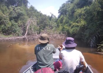 União de esforços para salvaguardar Terras Indígenas no Amazonas