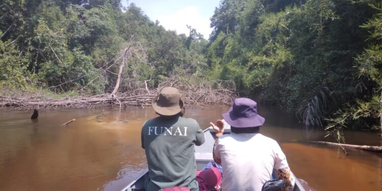 União de esforços para salvaguardar Terras Indígenas no Amazonas