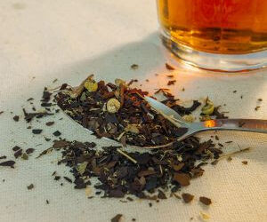 Mate Guayrá explora a tradicional erva-mate agroflorestal em sua nova linha de chás e shot energizante