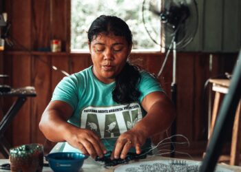 Turismo sustentável de base comunitária gera mais de R$ 2 milhões em faturamento no baixo Rio Negro