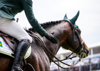 Com vaga garantida nas Olimpíadas de Paris, Confederação Brasileira de Hipismo fecha novo patrocínio