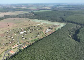 Sêmen bovino de alta fertilidade posiciona Seleon Biotecnologia como “Fábrica de Líderes de Sumários”