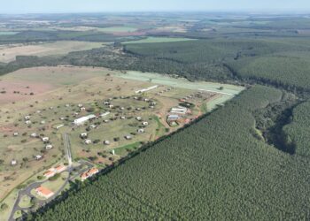 Sêmen bovino de alta fertilidade posiciona Seleon Biotecnologia como “Fábrica de Líderes de Sumários”
