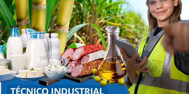 Resolução define atribuições dos técnicos em Agroindústria