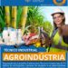 Resolução define atribuições dos técnicos em Agroindústria