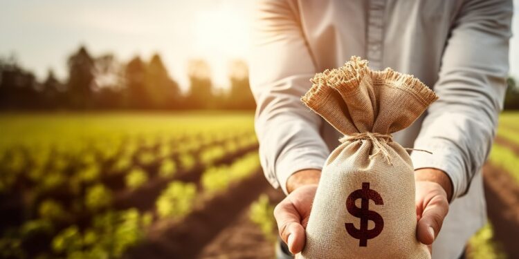 Agronegócios e franquias: setores abundantes de oportunidades