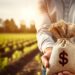 Agronegócios e franquias: setores abundantes de oportunidades