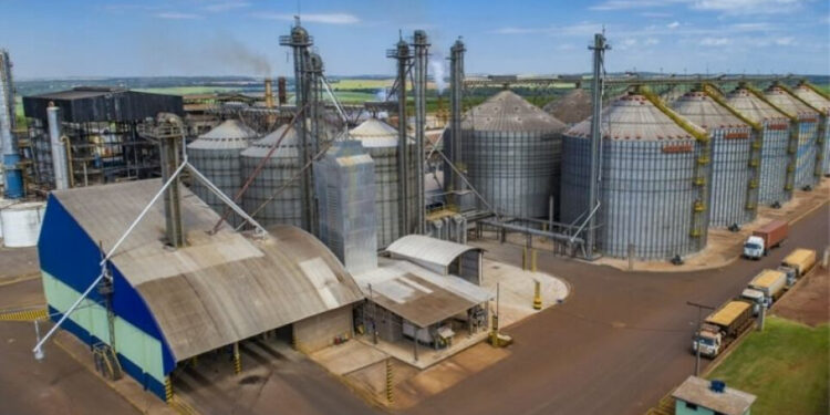 Infraestrutura de armazenagem, o grande desafio do agronegócio brasileiro