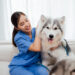 Consulta veterinária domiciliar é tendência no segmento