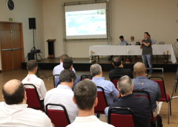 São Paulo enfrenta redução na área plantada de trigo em 2024