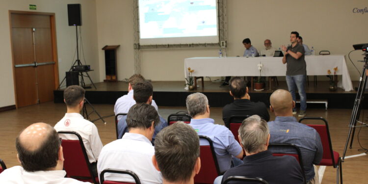 São Paulo enfrenta redução na área plantada de trigo em 2024