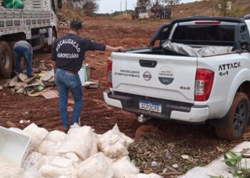 Fiscalização da Agrodefesa e Polícia Militar apreende 880 quilos de queijos ralados impróprios para consumo em Anápolis