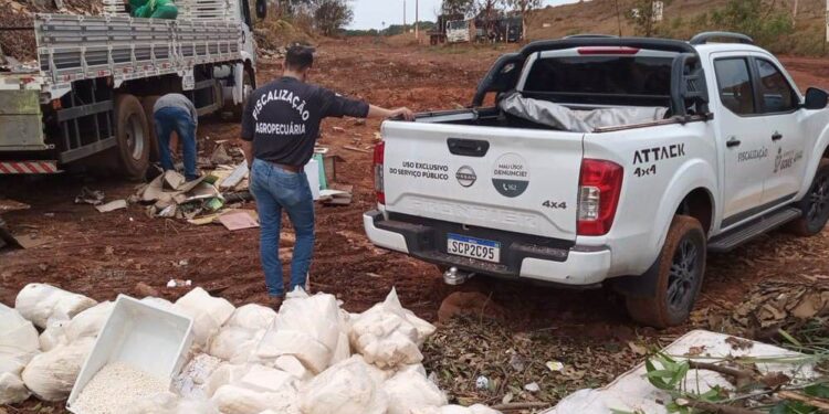 Fiscalização da Agrodefesa e Polícia Militar apreende 880 quilos de queijos ralados impróprios para consumo em Anápolis