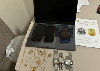 Operação integrada entre Polícia Civil de Goiás, de São Paulo e do Paraná mira grupo criminoso especializado em furtos e roubos de condomínios de luxo