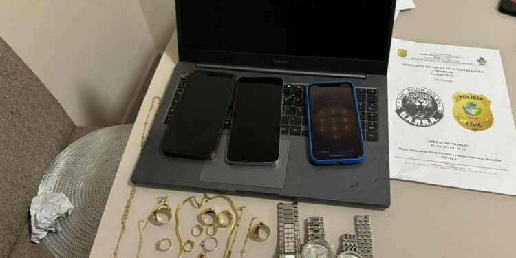 Operação integrada entre Polícia Civil de Goiás, de São Paulo e do Paraná mira grupo criminoso especializado em furtos e roubos de condomínios de luxo