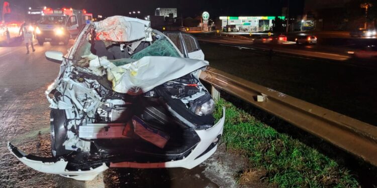 Cavalos invadem rodovia e causam acidente grave em Anápolis