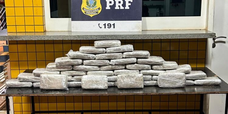 PRF apreende supermaconha em carro transportado por cegonha