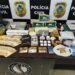 Operação da Polícia Civil mira organização criminosa que movimentava milhões com tráfico de drogas