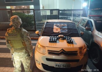 Operação conjunta entre polícias de Goiás e Mato Grosso do Sul apreende haxixe que seria comercializado no DF