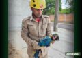 Bombeiros de Aruanã foram acionados para resgate de arara ferida a tiros.