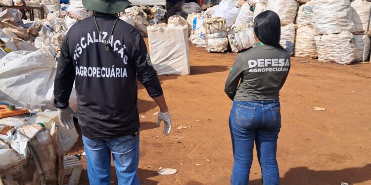 Agrodefesa apreende mais de 10 mil embalagens vazias de agrotóxicos armazenadas de forma irregular em Trindade e Paraúna