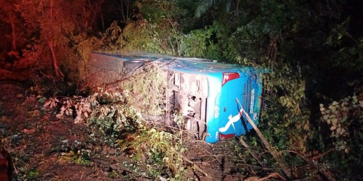 Ônibus tomba na BR-153 em Santa Tereza de Goiás e deixa quatro pessoas feridas