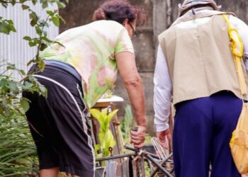 Brasil registra queda de quase 70% nos casos de dengue nos dois primeiros meses de 2025