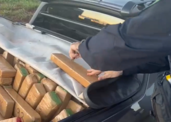 Traficante com extensa ficha criminal é preso com 800 kg de maconha após fuga na BR-153