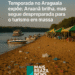 Temporada no Araguaia expõe: Aruanã brilha, mas segue despreparada para o turismo em massa