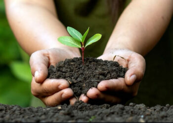 Incineração de resíduos no Brasil: a tecnologia e os desafios da Usina Incinera