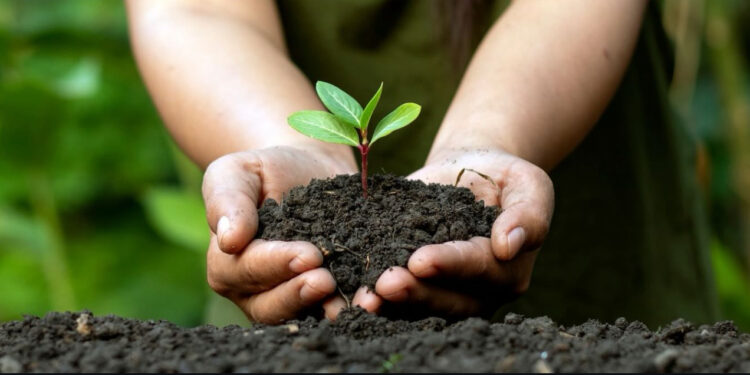 Incineração de resíduos no Brasil: a tecnologia e os desafios da Usina Incinera