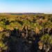 Cerrado em Pé: Goiás remunera produtores rurais que preservam bioma
