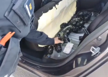 PRF apreende 1,7 mil ampolas ilegais para emagrecimento em Catalão