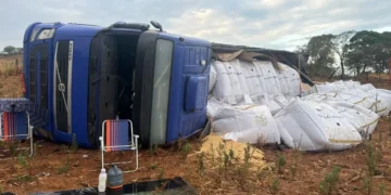Caminhão carregado de soja perde o freio e tomba em Anápolis