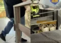 Policiais civis são investigados sob suspeita de ‘plantar’ droga em casa de conselheiro tutelar em Belo Horizonte