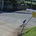 Bebê de 1 ano e 6 meses foge de creche e anda sozinho pela rua até o trabalho da mãe