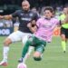 Botafogo busca empate com o Coritiba fora de casa pelo Campeonato Brasileiro